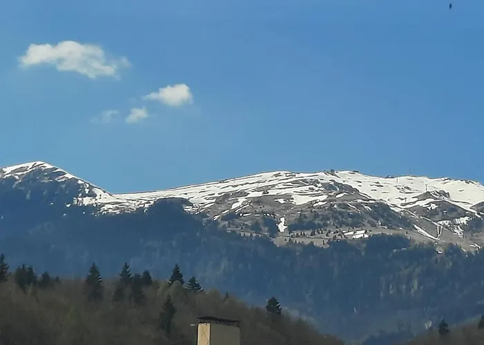Apartament Erika Sinaia