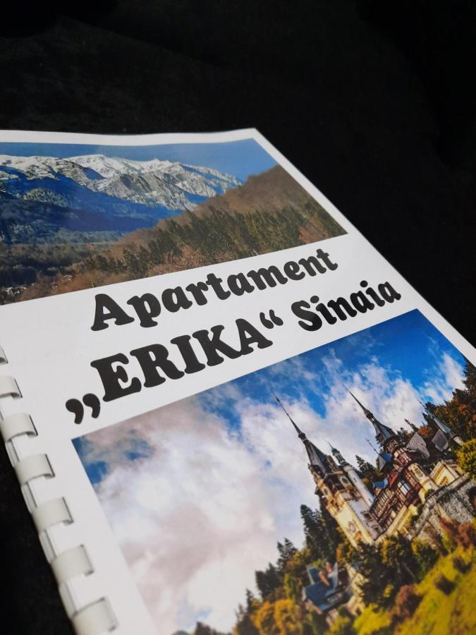 Apartment Erika Sinaia