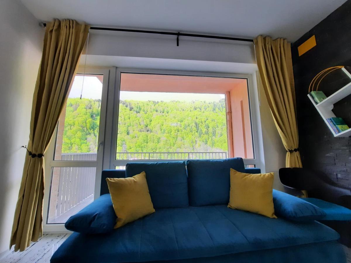 Erika Apartment Sinaia