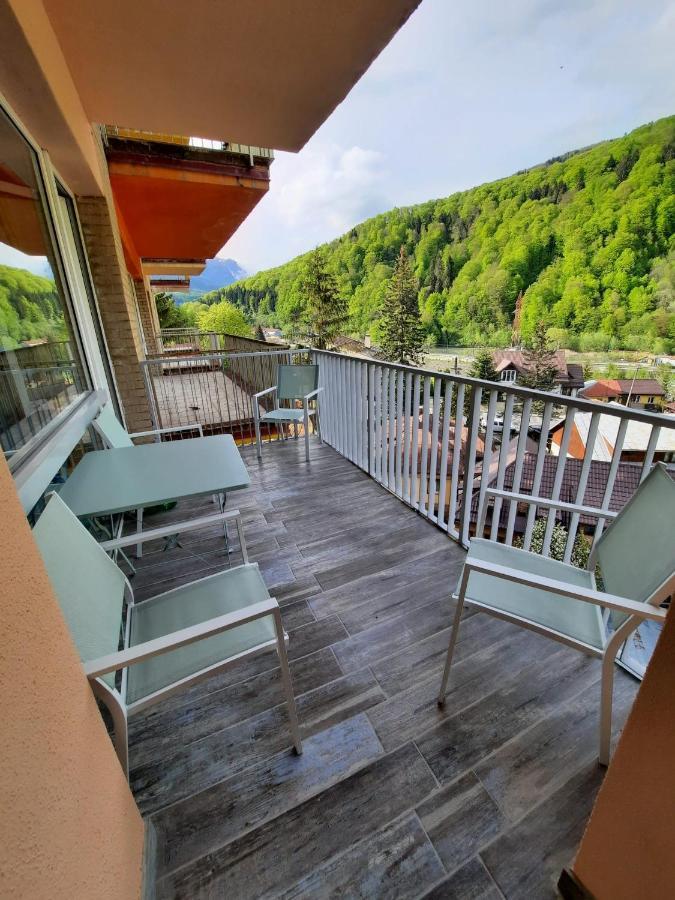 Apartment Erika Sinaia