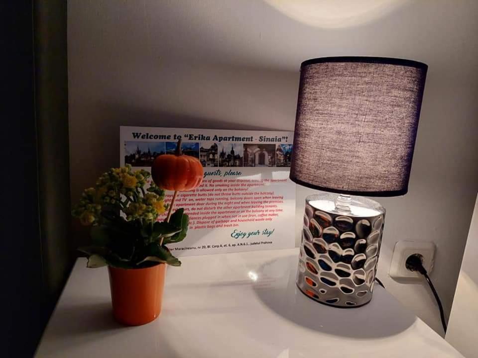 Apartment Erika Sinaia